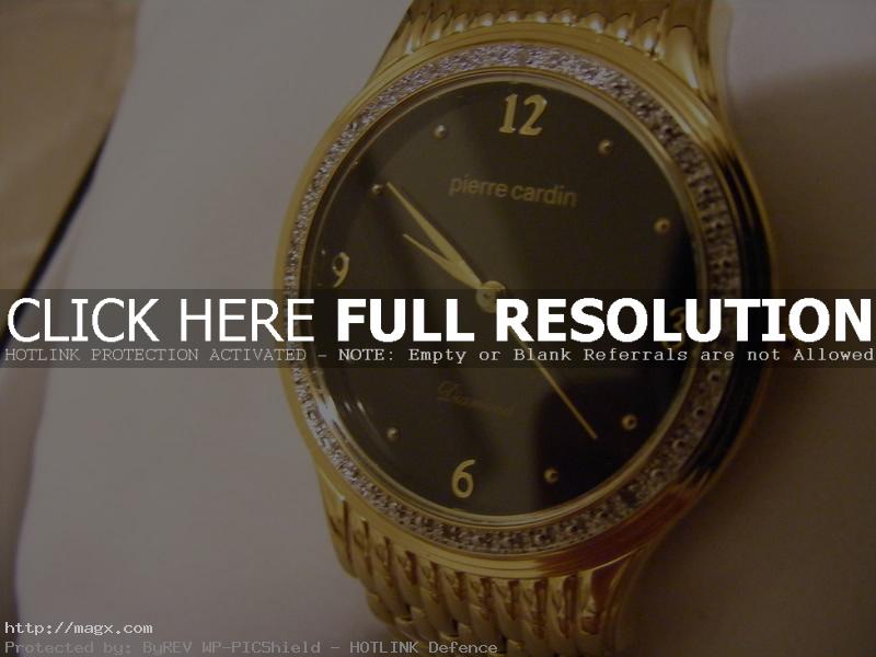 1 Stylish Pierre Cardin Watches