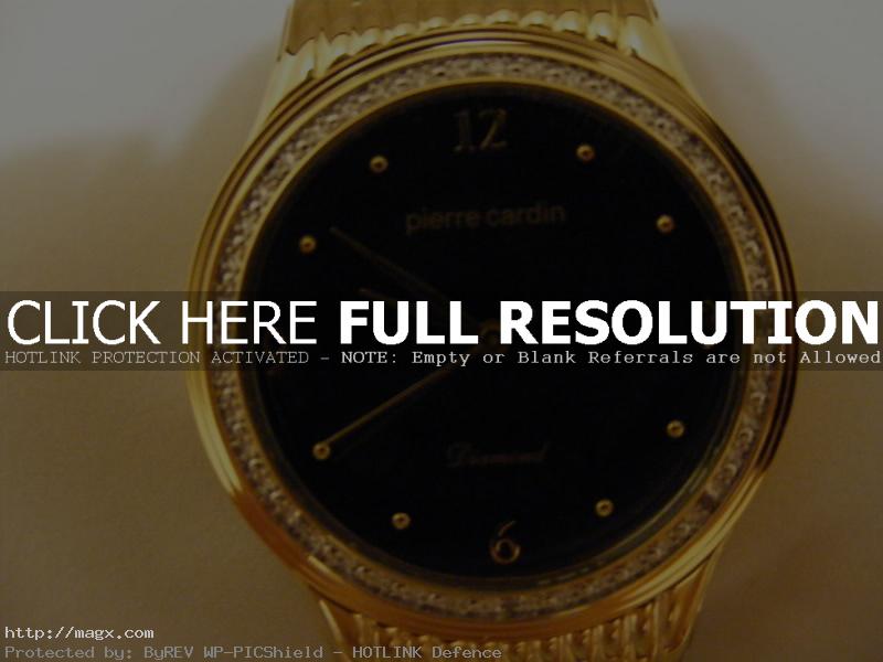 2 Stylish Pierre Cardin Watches