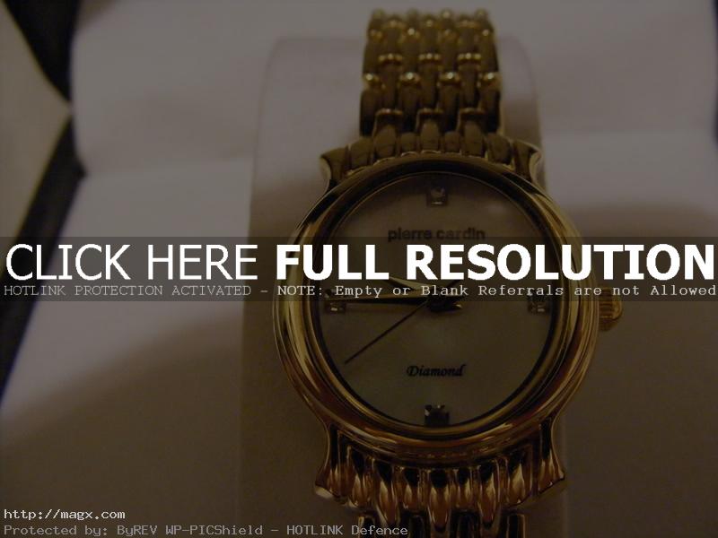 8 Stylish Pierre Cardin Watches